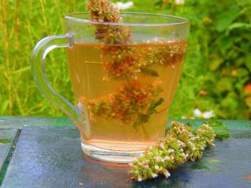 תה טעים, מרחיב כלי דם של הראש גורם לך להרגיש טוב