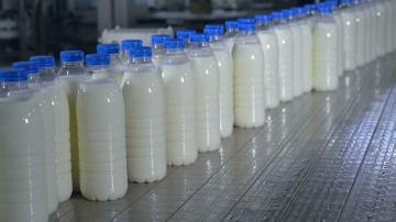 מה באמת עושה את החלב? מספר כיצד להבחין בין זיוף