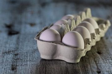 מדענים אמרו מדוע לא כדאי לאכול הרבה ביצים