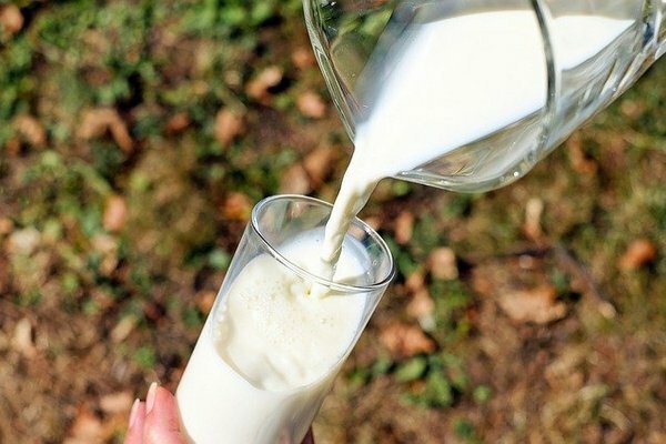 אך אם אתם חשים תחושות לא נעימות בבטן או במעיים לאחר כוס חלב, עדיף לסרב לה לטובת מוצרי חלב מותססים (צילום: Pixabay.com)