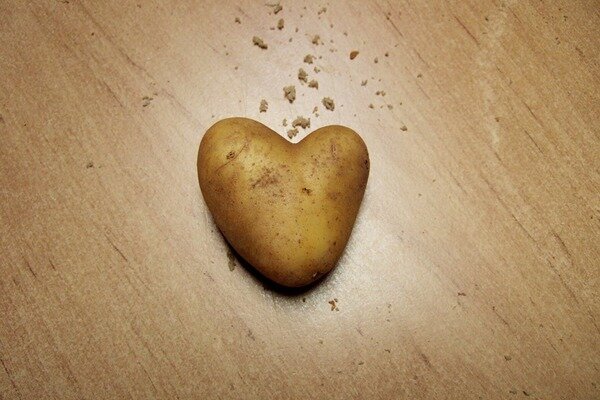 תפוחי אדמה יעזרו במחלות לב (צילום: Pixabay.com)