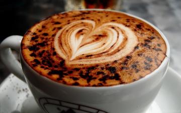 4 עובדות יוצאות דופן על קפה שאולי אינכם מכירים