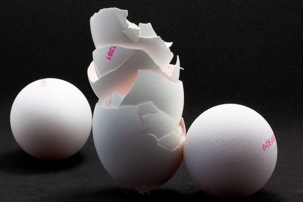 בעזרת קליפות ביצה תוכלו לפצות על מחסור בסידן בגוף (צילום: Pixabay.com)