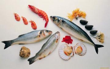 איך לבשל מאכלי ים ודגים מלוחים?