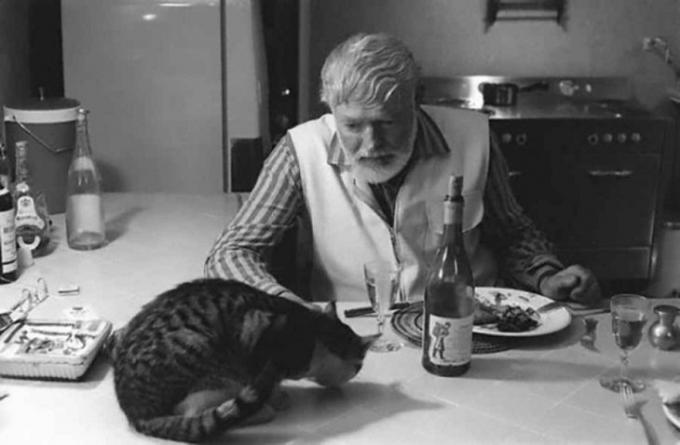 ארנסט המינגווי יש ארוחת ערב עם החתול.